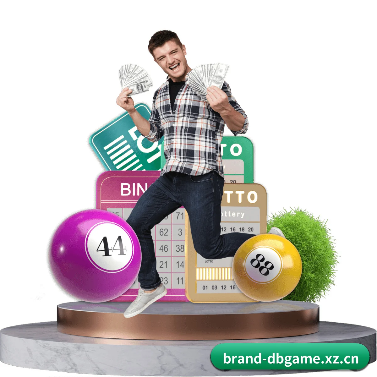 DB真人 APP