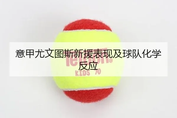 意甲尤文图斯新援表现及球队化学反应